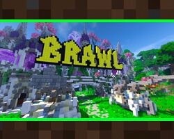 3. Brawl