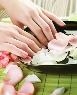 Steaming the cuticle